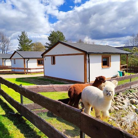 Domek Na Slonecznikowej Chmielno Exterior foto