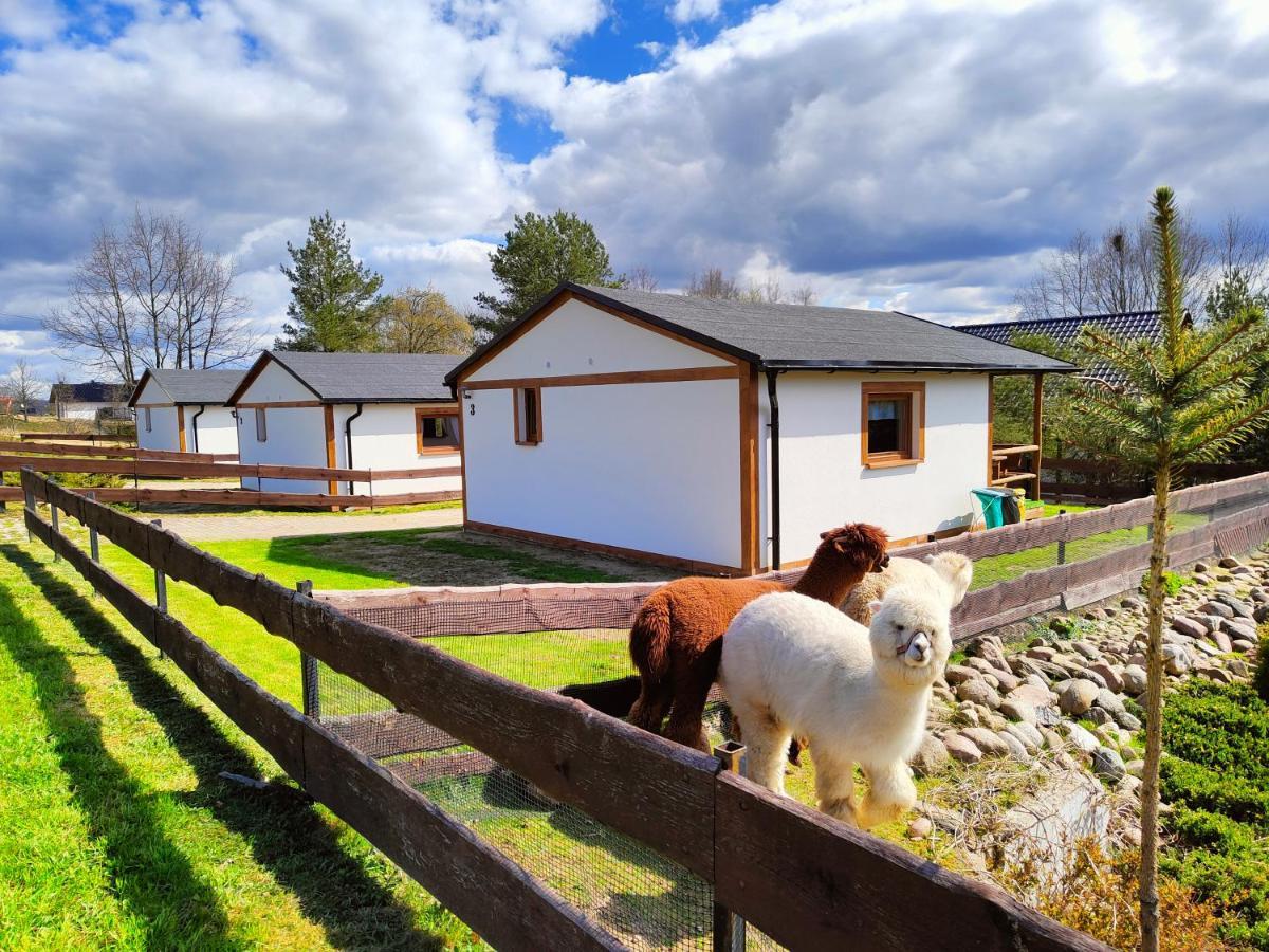 Domek Na Slonecznikowej Chmielno Exterior foto