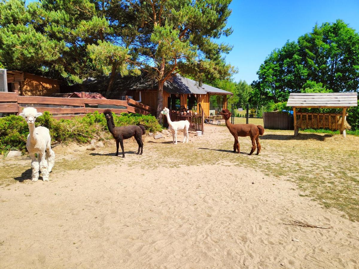 Domek Na Slonecznikowej Chmielno Exterior foto