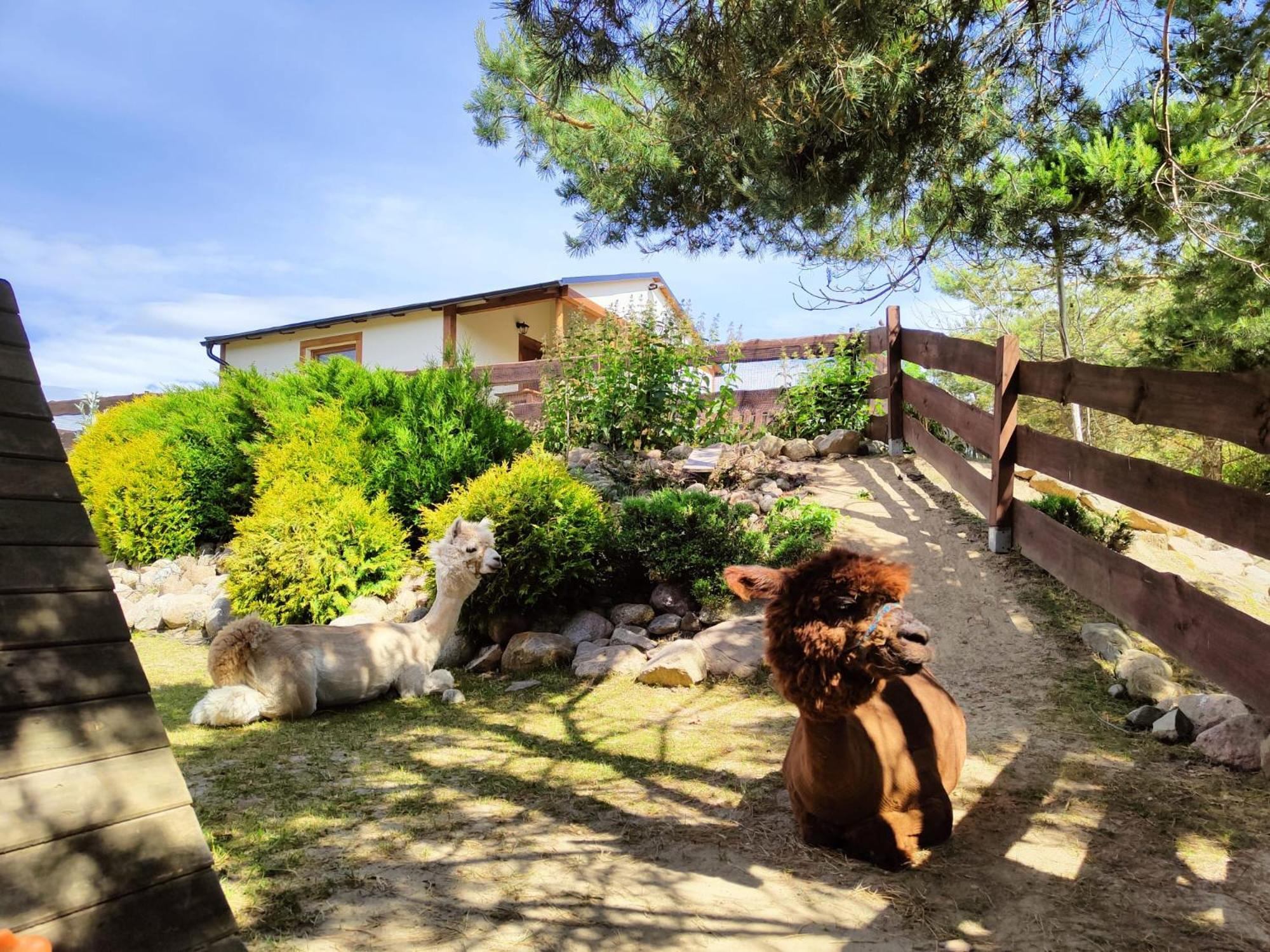 Domek Na Slonecznikowej Chmielno Exterior foto
